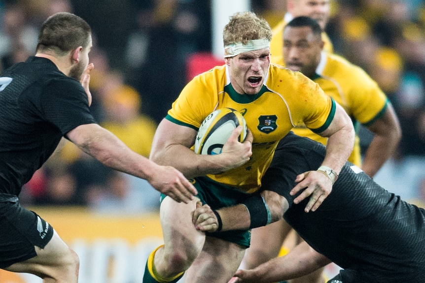 Wallaby David Pocock breaks through the All Blacks defence