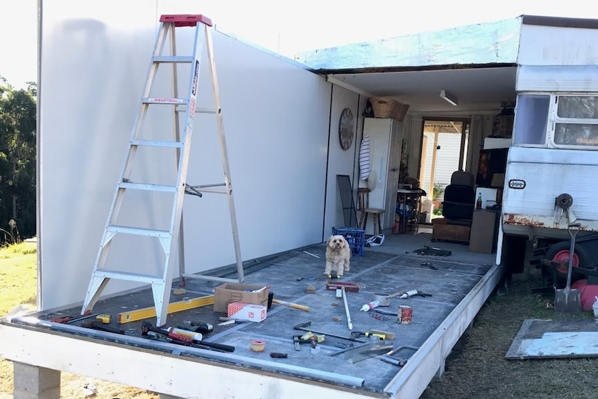 A small curly-haired dog stands surrounded by tools in a room that is still under construction on the back of a house.