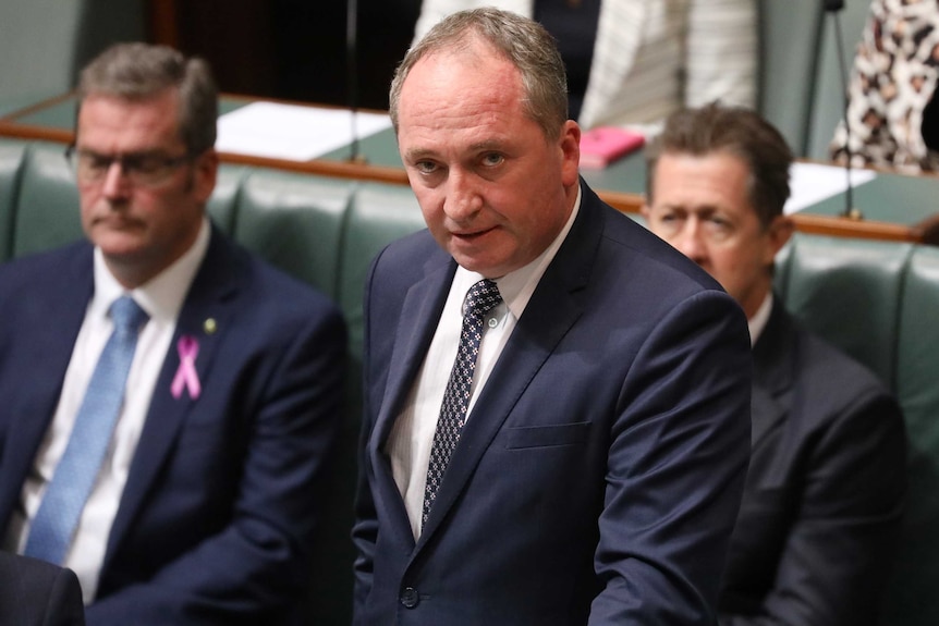 barnaby joyce looks up from under his brows as he speaks in parliament