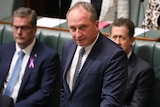 Barnaby Joyce looks up from under his brows as he speaks in parliament
