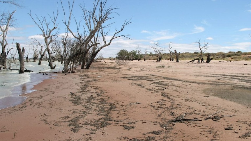 Menindee Lakes low