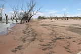 Menindee Lakes still low