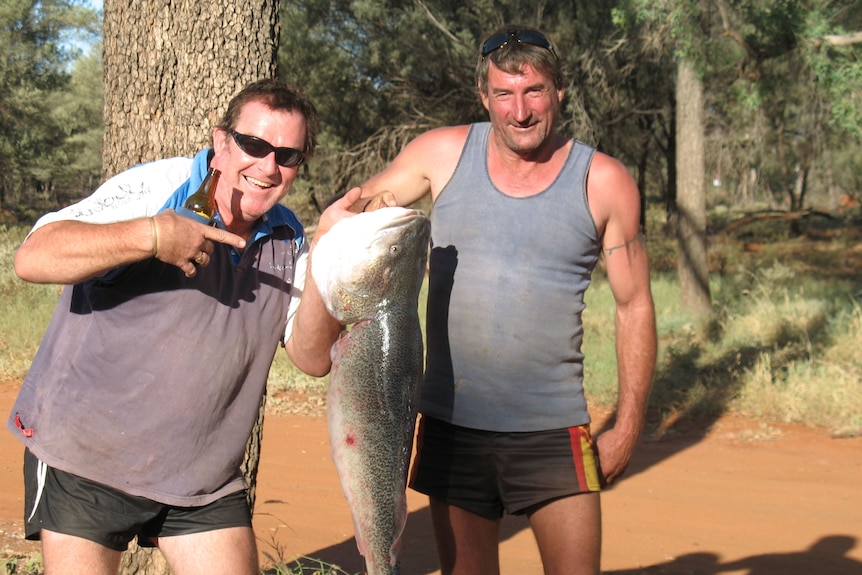 Two men holding a large Murray Cod on the banks of the Ward River near Charleville, Queensland