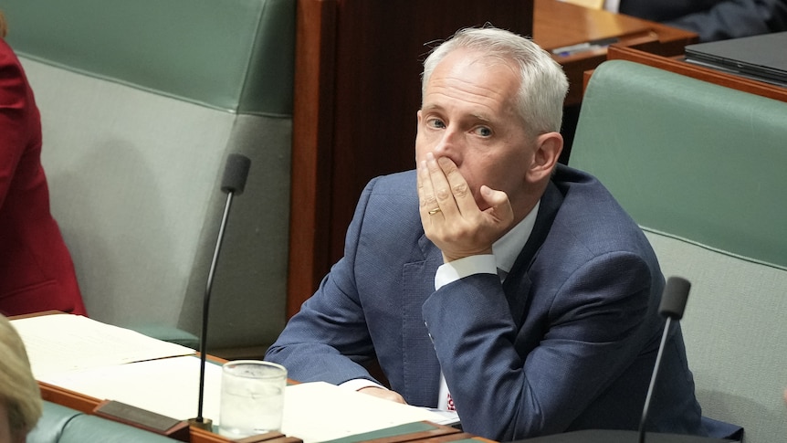 Andrew Giles rests his chin in his hand during question time