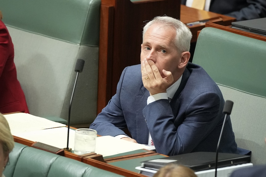 Andrew Giles rests his chin in his hand during question time