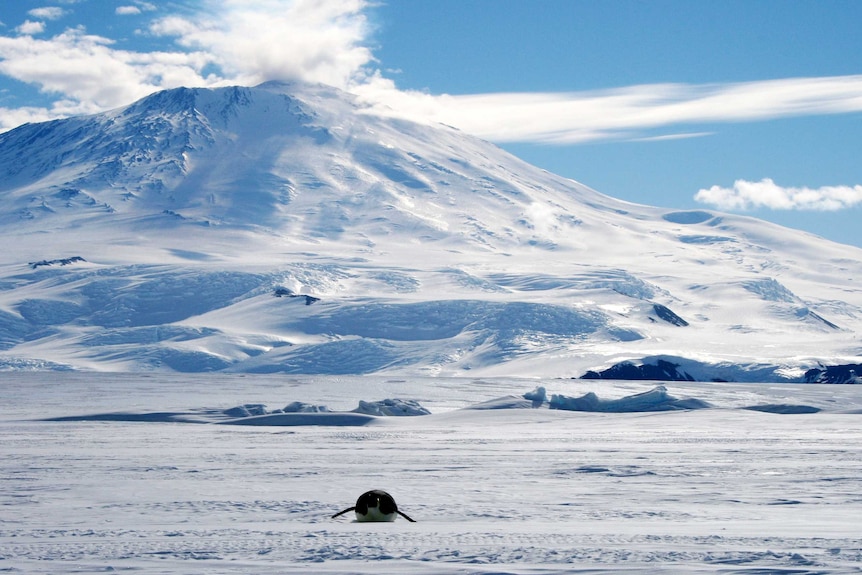 Sea ice off Ross Island