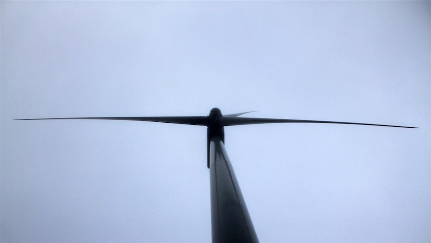 A turbine at Waubra Wind Farm (file photo)