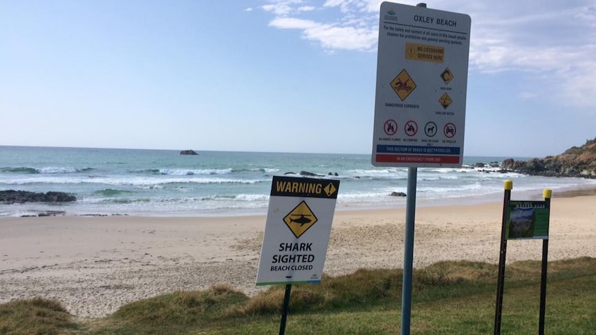 Closure sign on Port Macquarie beach warning of shark sightings, September 2017.