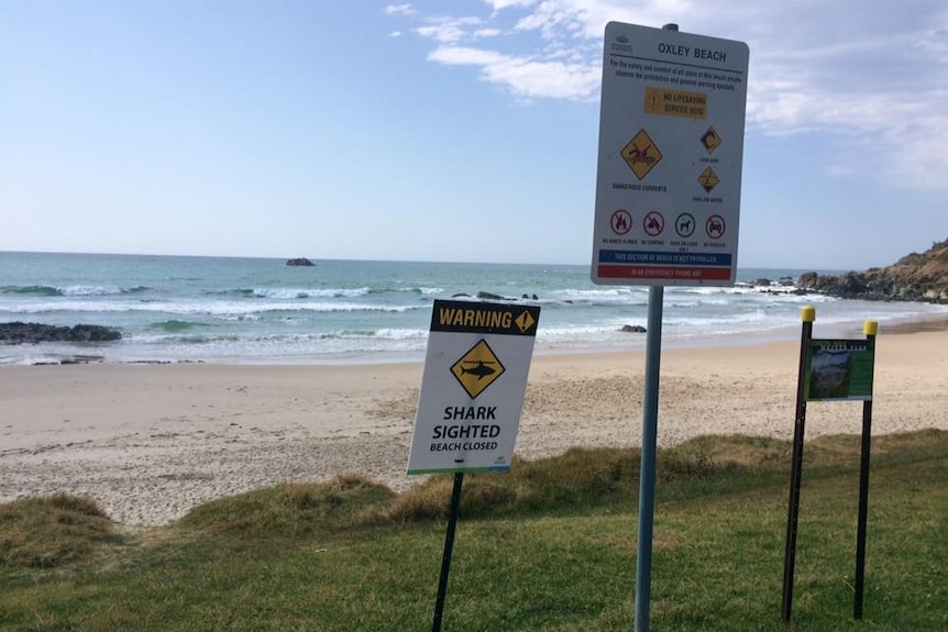Closure sign on Port Macquarie beach warning of shark sightings, September 2017