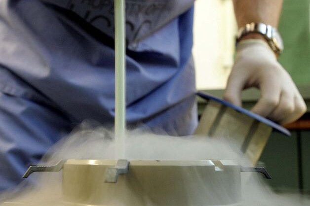 A doctor prepares eggs and sperm for an attempt at artificial insemination