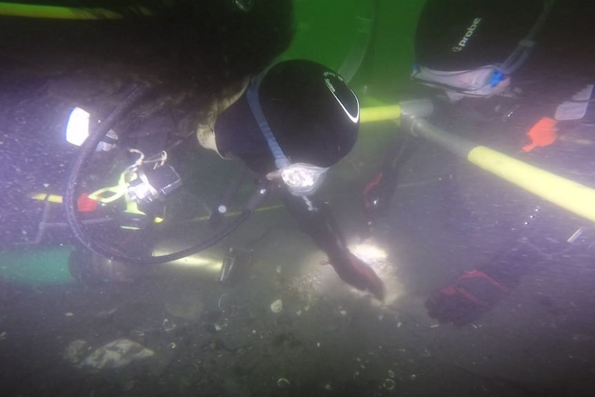 Divers investigate and study the Endeavour shipwreck remains