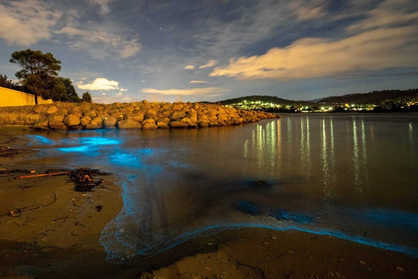 Bioluminescence in the water at Little Howrah Beach at night.