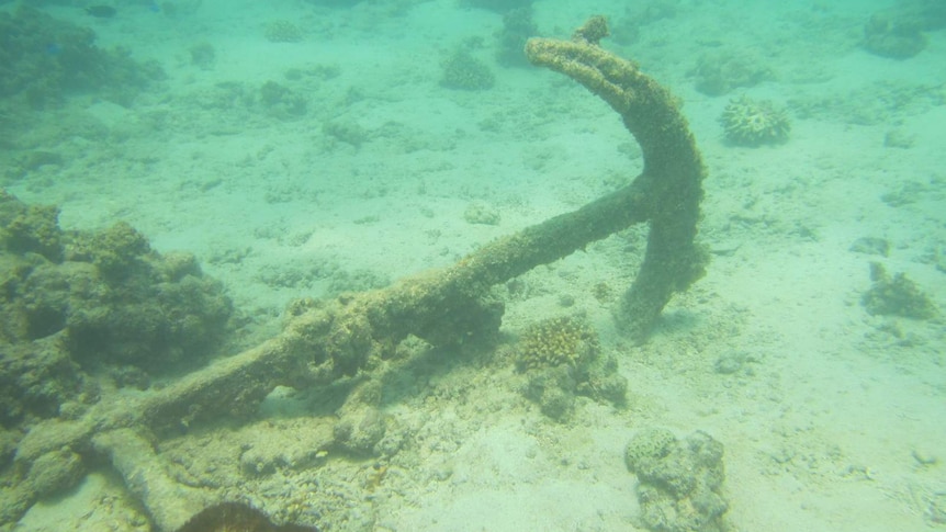 A large anchor pictured on the ocean floor covered in moss