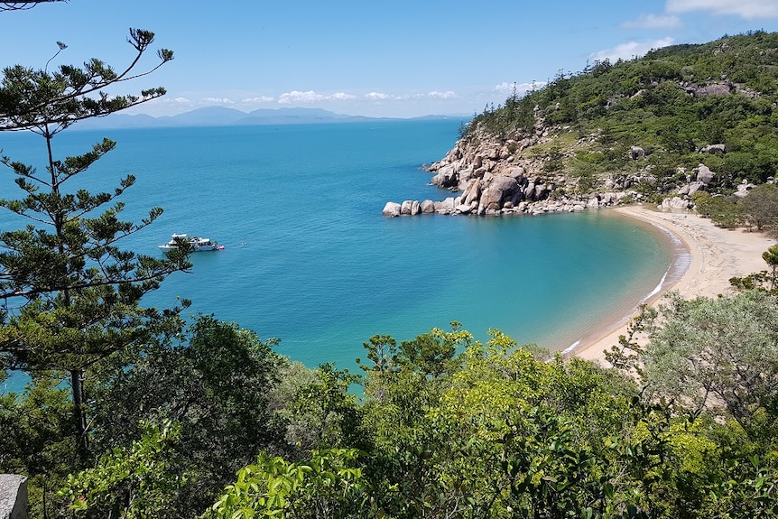 a picture of one of the Bays on Magnetic Island and surrounding rainforest