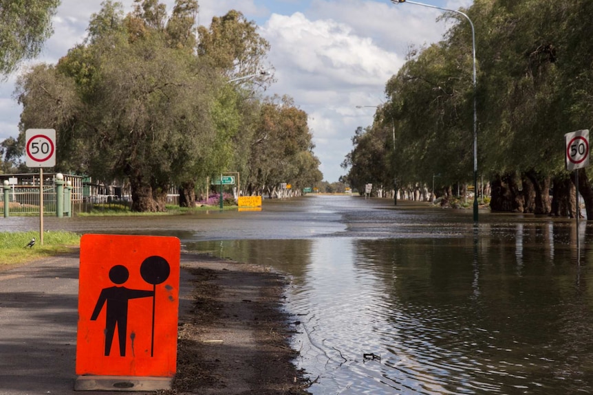 Flooding on the Gipps Way heading south out of Condobolin.