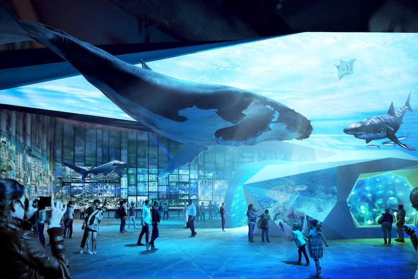 Artist’s impression of the Oceans and Reefs Gallery at the Australian Museum