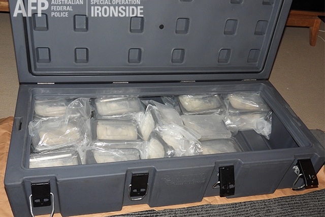 a case full of bags with white powder