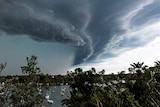 Storm cloud rolls over Lane Cove