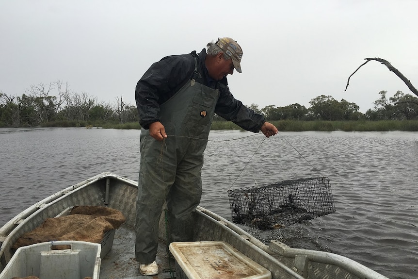Garry Warrick fishing yabbies in SA's Riverland