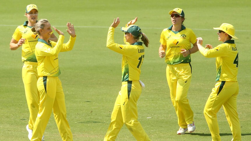 Women cricketers high-five and celebrate a wicket during an ODI match.