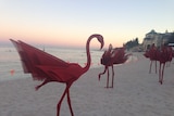 Sculptures by the Sea mi no 5