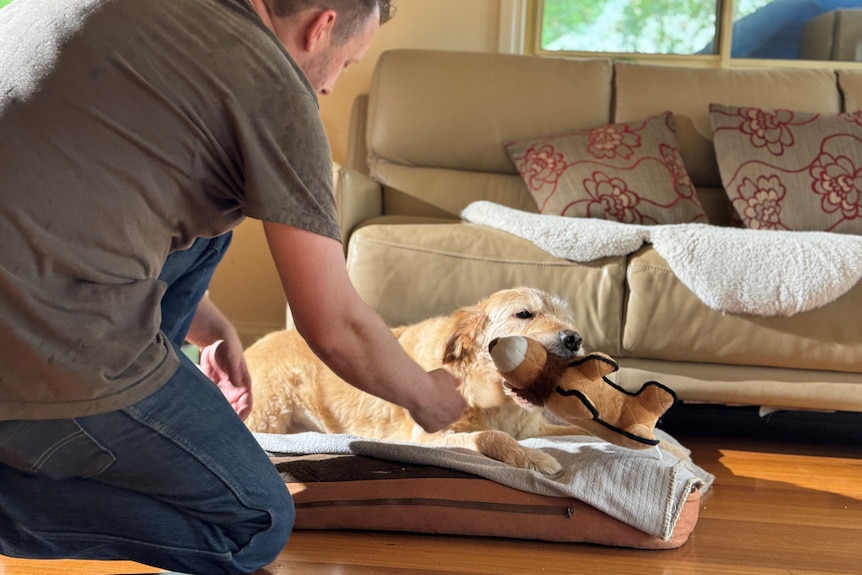 a man and a dog on a couch