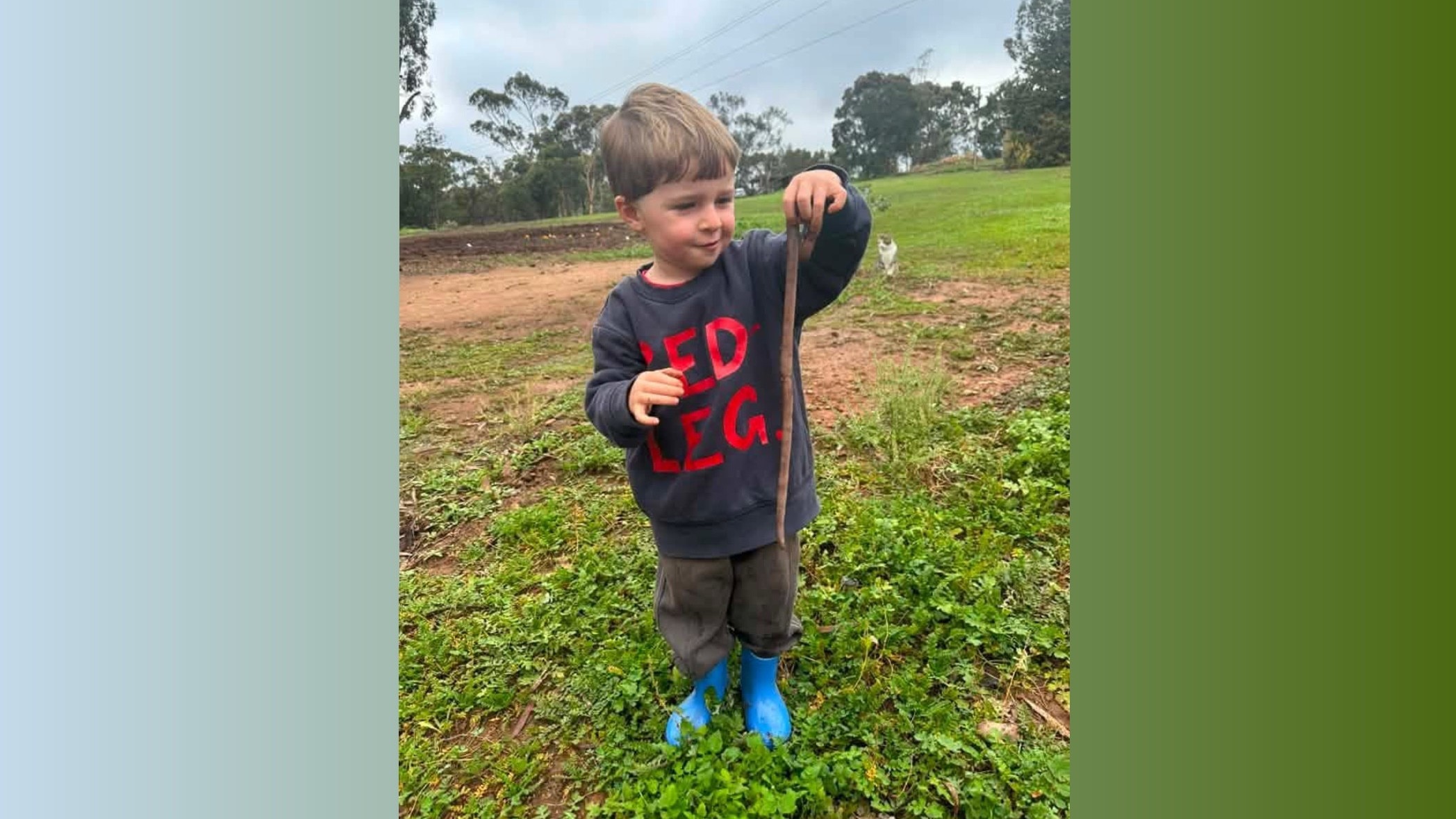 'Almost certainly new' species of giant earthworms found in SA