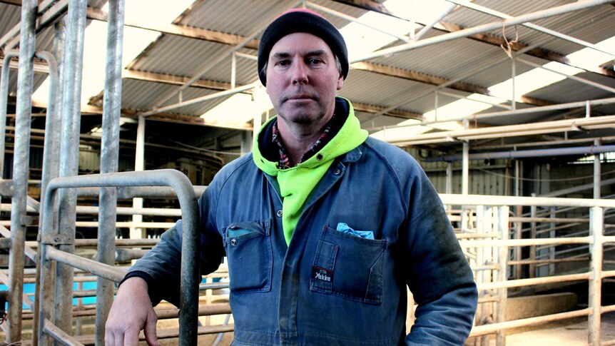 Dairy farmer Robert Methven standing in a milking shed