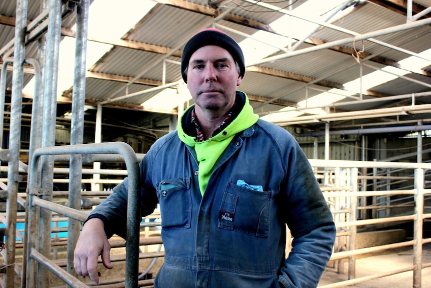 Dairy farmer Robert Methven standing in a milking shed