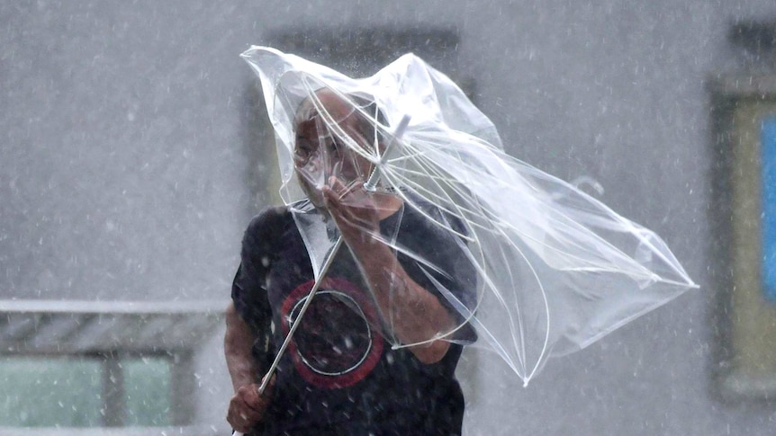 A man struggles with his umbrella against strong wind generated by typhoon.