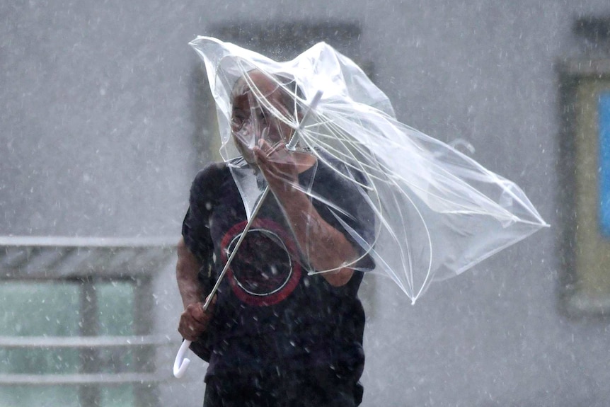 A man struggles with his umbrella against strong wind generated by typhoon.