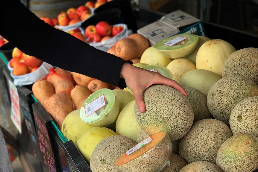 A hand grabbing for a rockmelon among other fruit for sale