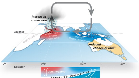 Diagram showing a positive IOD is associated with a reduced chance of rain