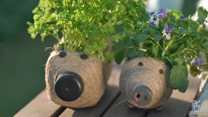 Cut bottles covered in twine with 'eyes' and herbs planted in them