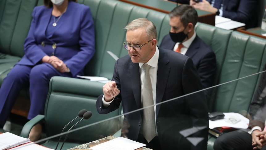 Anthony Albanese points as he speaks at his desk in the House of Representatives