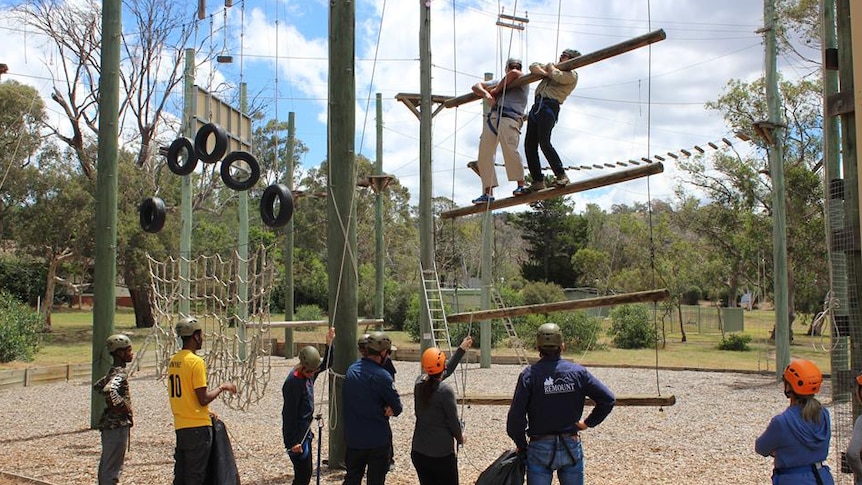 A number of people stand below a high ropes course, two people are on the course. They are wearing helmets.