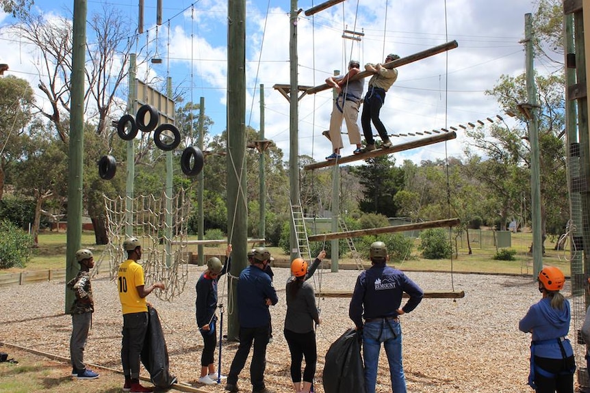 A number of people stand below a high ropes course, two people are on the course. They are wearing helmets.