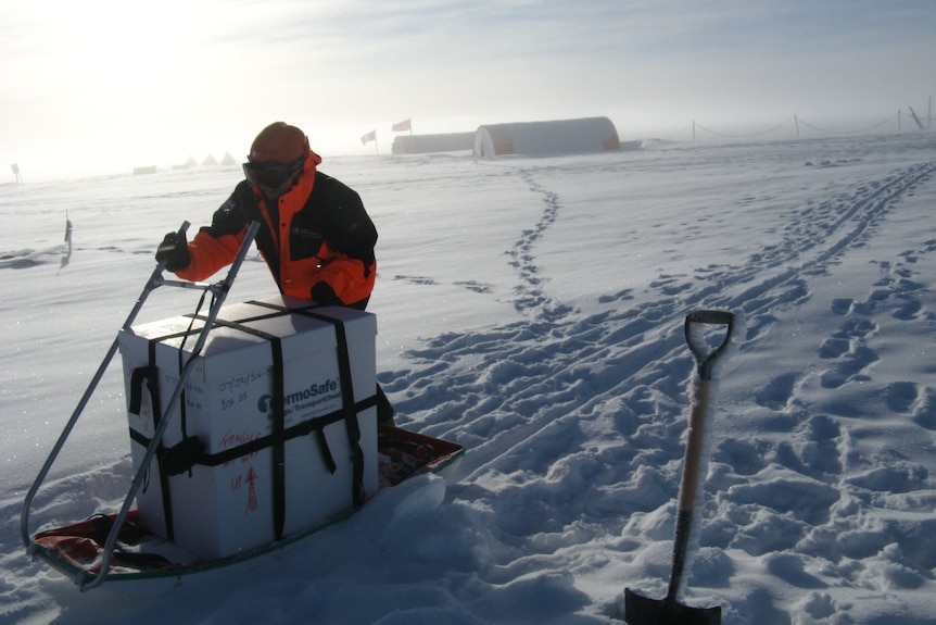 A woman in orange jack, beanie, goggles pushes a box on sled across snow. 