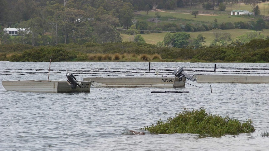 Pambula oyster leases