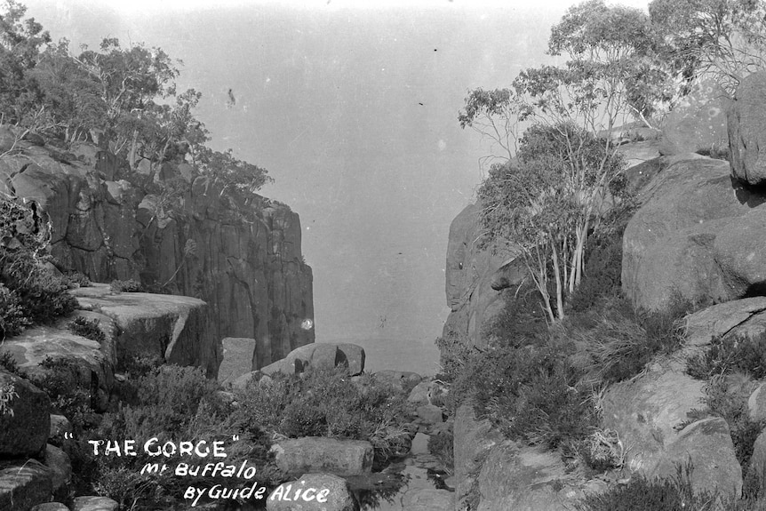 The gorge in Mount Buffalo captured in black and white vintage photograph. Trees on rocks disappear into a cavernous expanse.