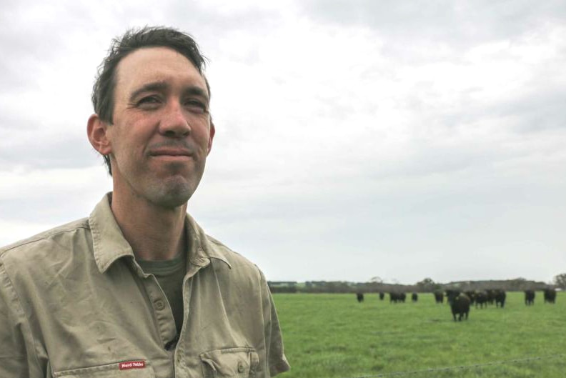 Terang farmer Daniel Gilmour with his herd of Angus cattle.
