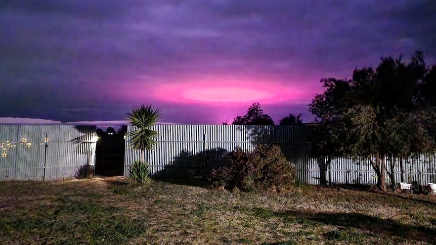 A regional backyard at midnight. The sky is purple, except for a mysterious oval of pink in the middle