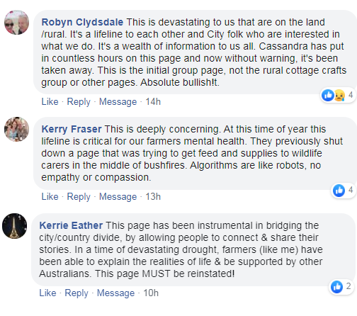 A screenshot of Facebook comments in which users voice their displeasure at a group being shut down.
