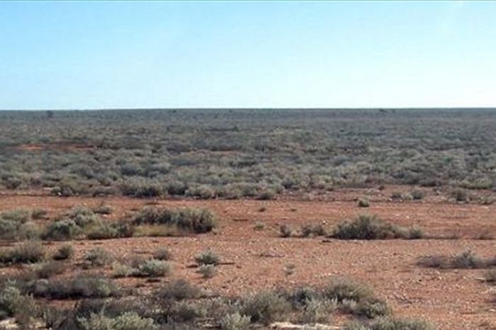 Nullarbor Plain: low scrub and desert.