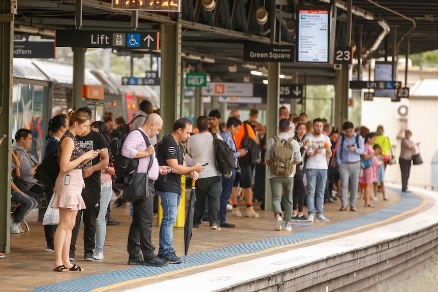 A large crowd of people stands on a train platform.