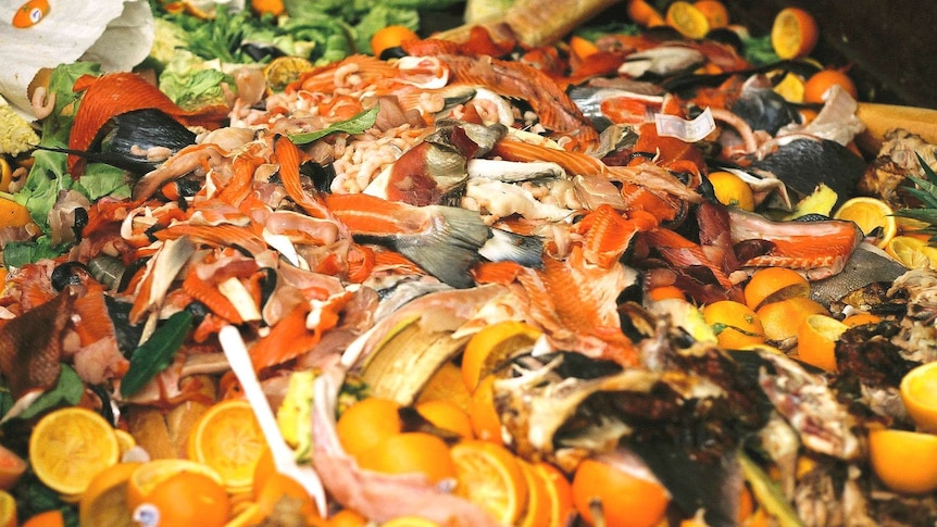 Fish bones and other food scraps are seen in a dumpster.