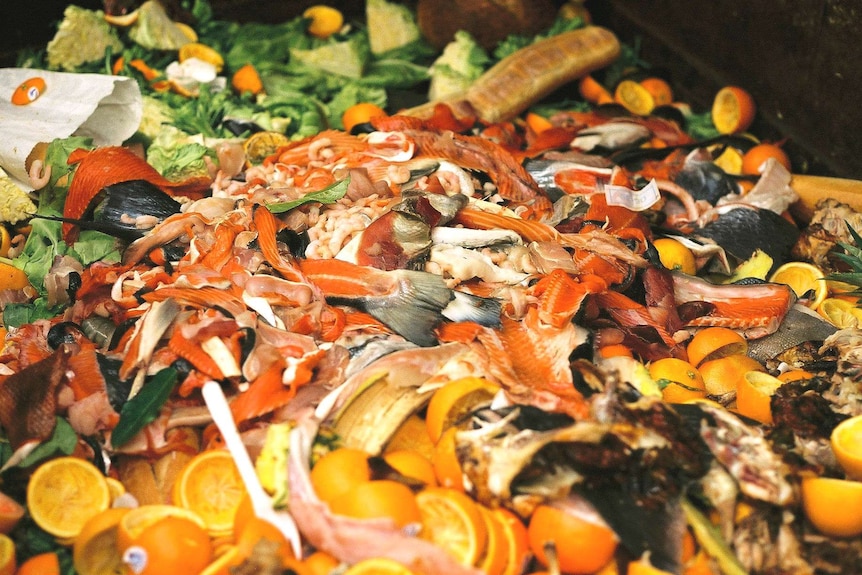 Fish bones and other food scraps are seen in a dumpster.