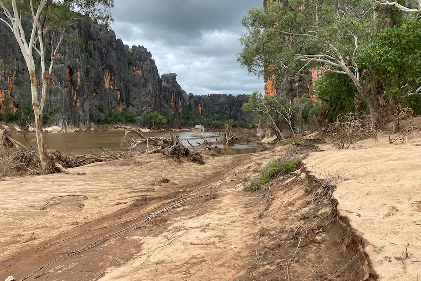 An eroded river bank alongside a gorge littered with small trees.