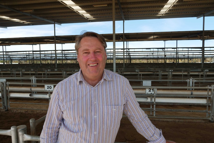 Member for O'Connor Rick Wilson standing in the Katanning stockyards with sheep behind him