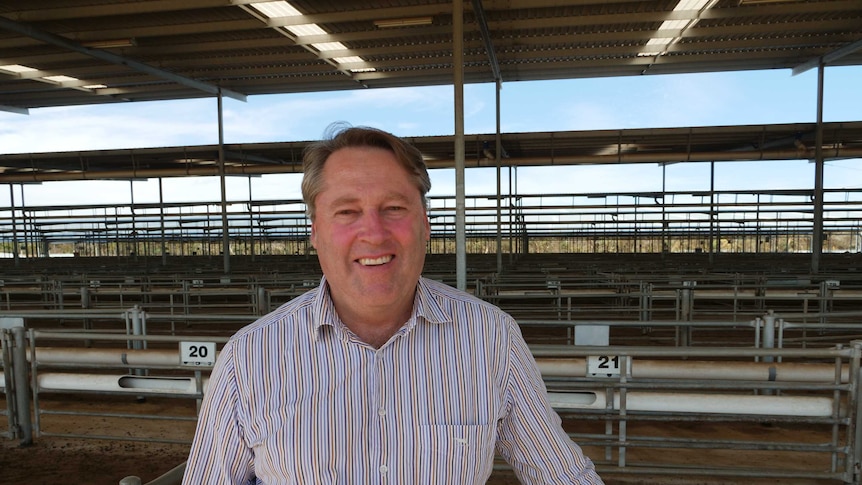 Member for O'Connor Rick Wilson standing in the Katanning stockyards with sheep behind him